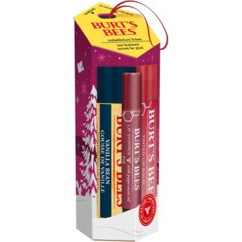 Burt’s Bees Festive Mistletoe Kiss darčeková sada na pery