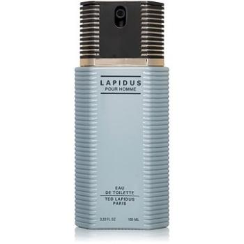 TED LAPIDUS Lapidus Pour Homme EdT 100 ml (3355992000260)