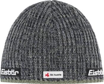 Eisbär Rene SKA Beanie Misty Forest/Grafity Grey UNI Čiapka