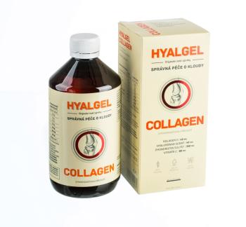 SILVITA HYALGEL COLLAGEN sirup s pomarančovou príchuťou 500 ml