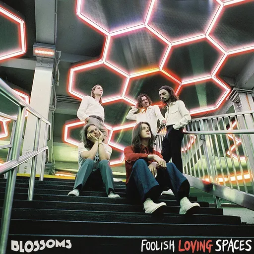BLOSSOMS - FOOLISH LOVING SPACES LP