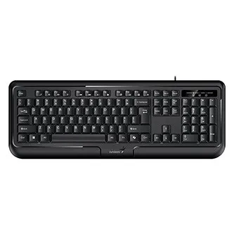 Genius KB-118 II COPILOT 31310051411, klávesnice CZ/SK, klasická, voděodolná typ drátová (USB), černá