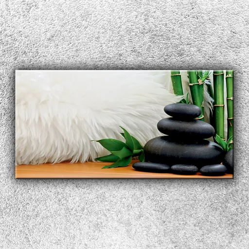 Foto na plátno Kamene s kožušinou 100x50 cm