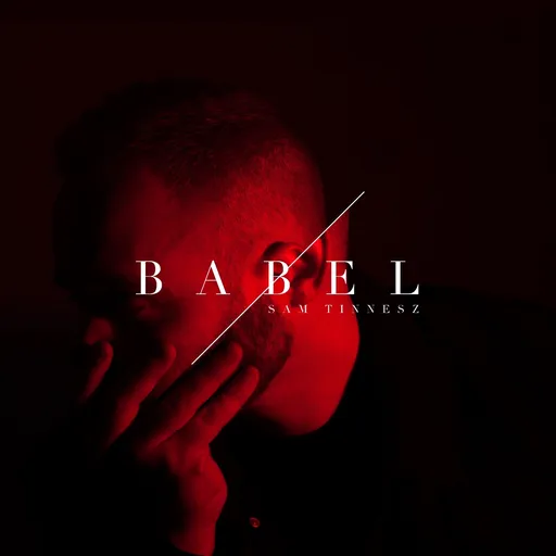 Sam Tinnesz: Babel LP