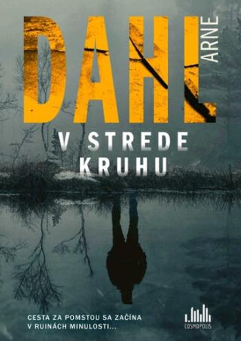 V strede kruhu - Arne Dahl