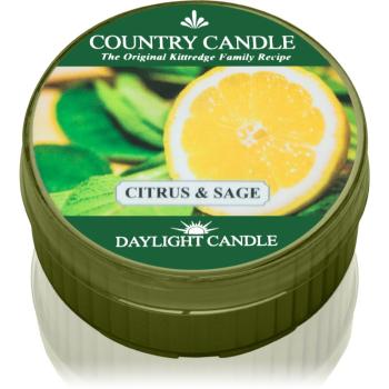 Country Candle Citrus & Sage čajová svíčka 42 g