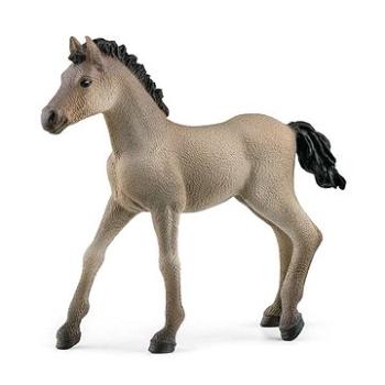 Schleich 13949 Zvieratko – žriebä Criollo Definitivo (4059433486673)