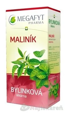 MEGAFYT Bylinková lekáreň OSTRUŽINA MALINOVÁ, 20x1,5g