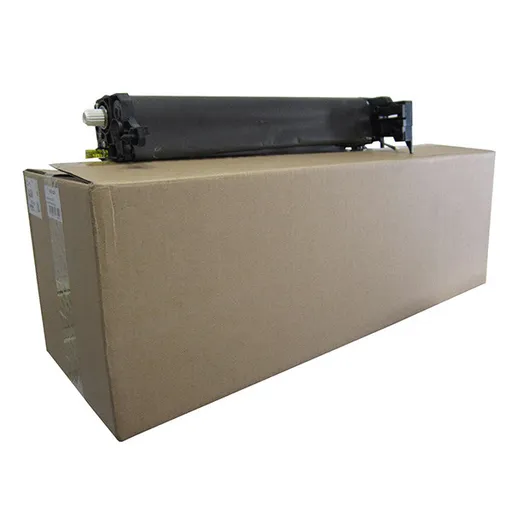 RICOH D1442251 - originálny