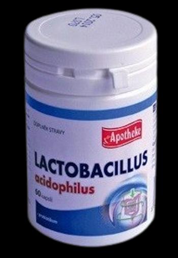 APOTHEKE Lactobacillus acidophilus 60 kapsúl