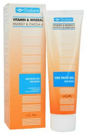 Diafarm Vitamin/Mineral Energy Paste-Gel+Omega6 pro psy 100 g