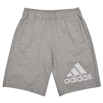 adidas  BL SHORT  Šortky/Bermudy Šedá