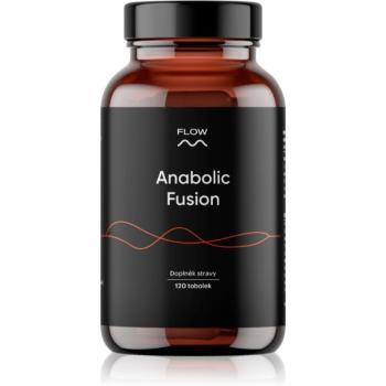 Flow Anabolic fusion 2.0 kapsle na podporu hormonální rovnováhy pro muže 120 cps