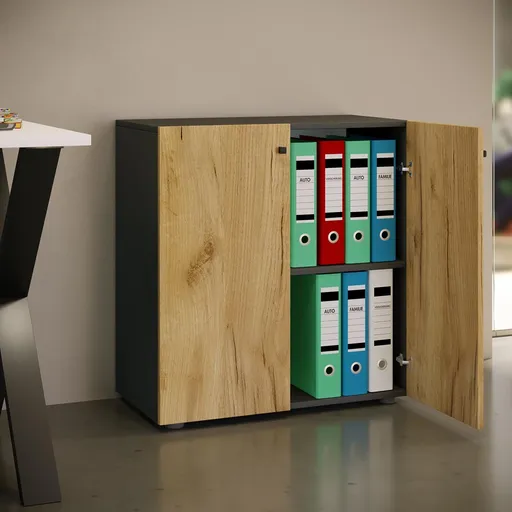 VCM Kancelářská skříň Lona L s otočnými dvířky, antracitová