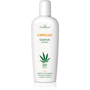 Cannaderm Capillus Seborea Shampoo bylinný šampón pre podráždenú pokožku hlavy 150 ml