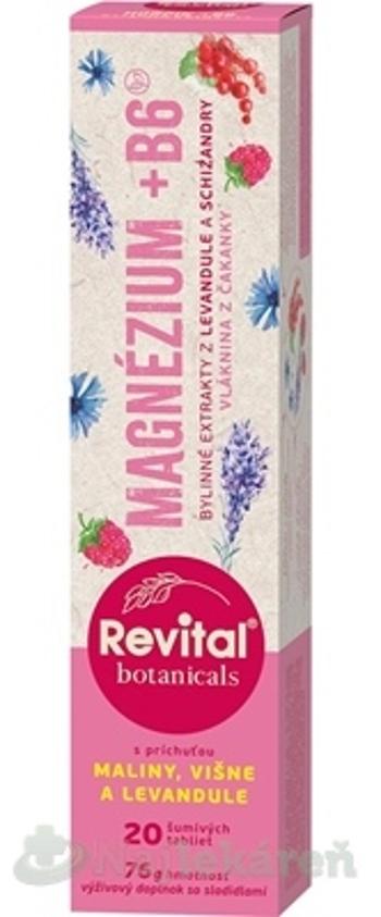 Revital Botanicals MAGNÉZIUM + B6 20 šumivých tabliet