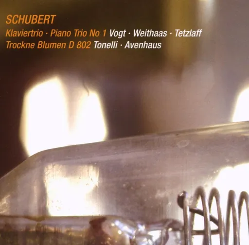 SCHUBERT: KLAVIERTRIO - PIANO TRIO NO. 1/TROCKNE BLUMEN D 802