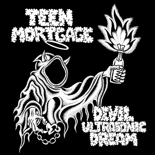 Teen Mortgage, DEVIL ULTRASONIC DREAM, CD