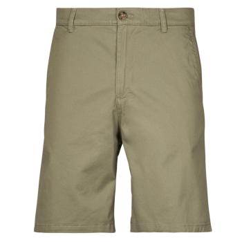 Selected  SLHREGULAR BILL FLEX SHORTS  Šortky/Bermudy Zelená