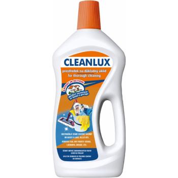 CLEANLUX pre dokonalé upratovanie po rekonštrukciách, upratovanie v garáži 750 ml