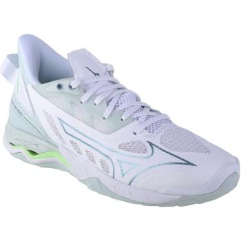 Mizuno  Wave Mirage 5  Indoor obuv Biela