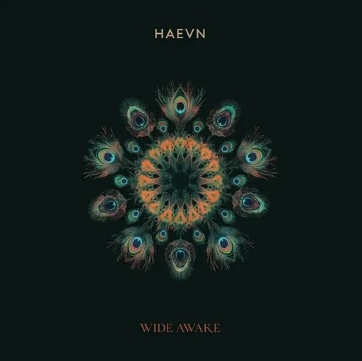 HAEVN, HAEVN: Wide Awake CD, CD