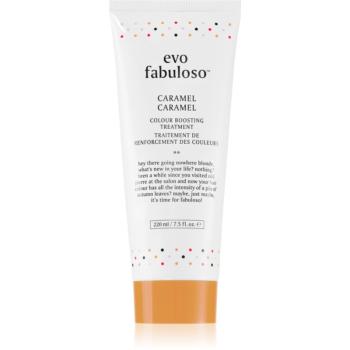 EVO Fabuloso Colour Boosting Treatment maska na vlasy pre zvýraznenie farby vlasov odtieň Caramel 220 ml