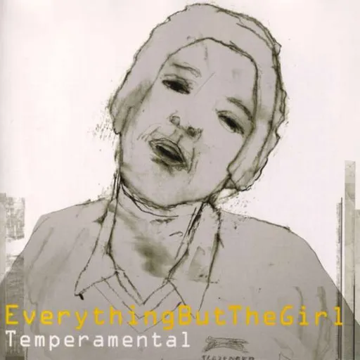 EVERYTHING BUT THE GIRL - TEMPERAMENTAL LP