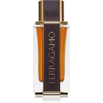 Ferragamo Ferragamo Spicy Leather parfumovaná voda pre mužov 100 ml