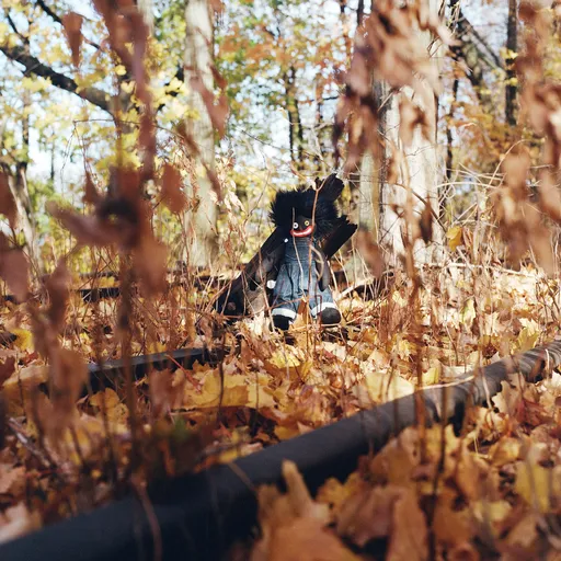 Billy Woods, WOODS, BILLY - GOLLIWOG 1 CD, CD