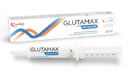 GlutaMax Forte pasta pre mačky pri ochoreniach pečene 15 ml