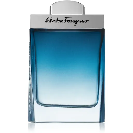 Ferragamo Subtil Pour Homme toaletná voda pre mužov 100 ml