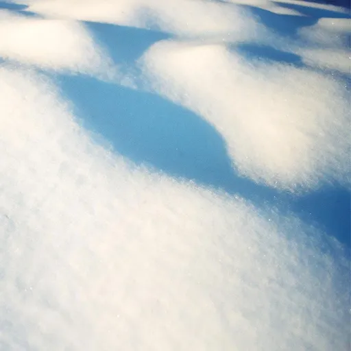 FLORE LAURENTIENNE - 8 TABLEAUX LP