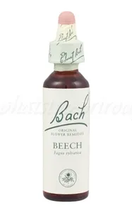 Beech - Buk lesný - bachove kvapky