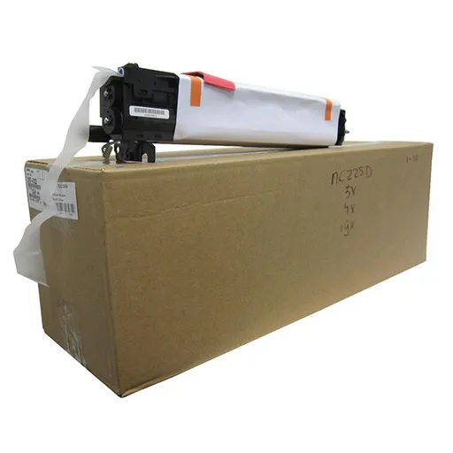 RICOH D117-0122 - originálny