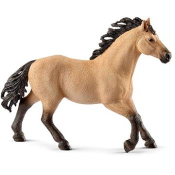 Schleich 13853 - Kôň plemena Quarter Hengst (4055744026348)