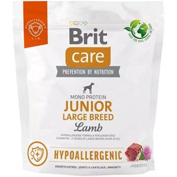 Brit Care Dog Hypoallergenic s jahňacím Junior Large Breed 1 kg (8595602559060)