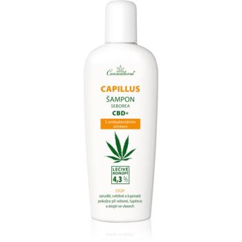 Cannaderm Seborea CBD+ šampón proti lupinám 150 ml