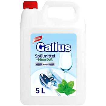GALLUS, mäta 5 l (4251415301428)