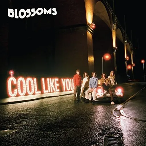 BLOSSOMS - COOL LIKE YOU LP