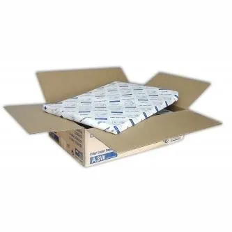 Epson Color Laser Paper S041217 C13S041217, 33x48cm, A3+, 1250ks, laserový, biely, foto papier