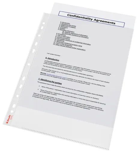 LEITZ Plastové vrecká Esselte Standard A4, GC, 55 mic, box 100 ks