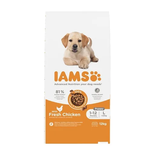 IAMS Dog Puppy Large Chicken granule pre psov 1 kus, Hmotnosť balenia (g): 3 kg