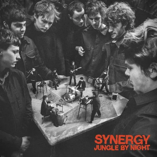 Jungle by Night, SYNERGY, CD