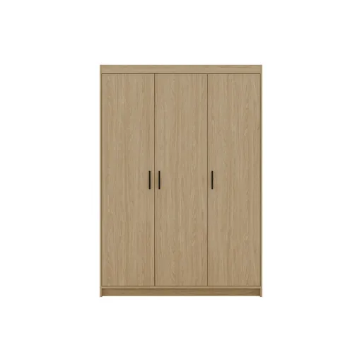 ArtLemp Šatníková skriňa ELLEN 3D | dub olejovaný