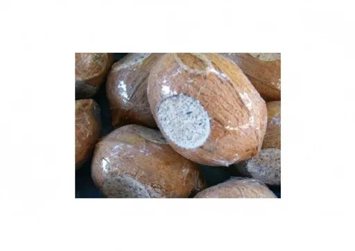 Trolik - zimný sortiment loj + semená v kokose celý s otvorom