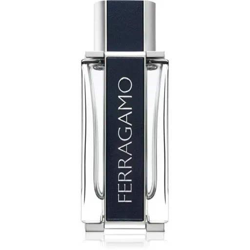 Ferragamo Ferragamo toaletná voda pre mužov 100 ml