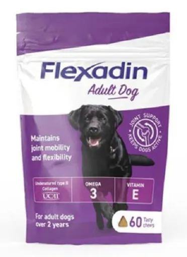 Flexadin Adult Dog kĺbová výživa pre dospelé psy 60tbl