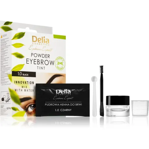 Delia Cosmetics Eyebrow Expert tónovacia farba na obočie odtieň 1.0 Black 4 g