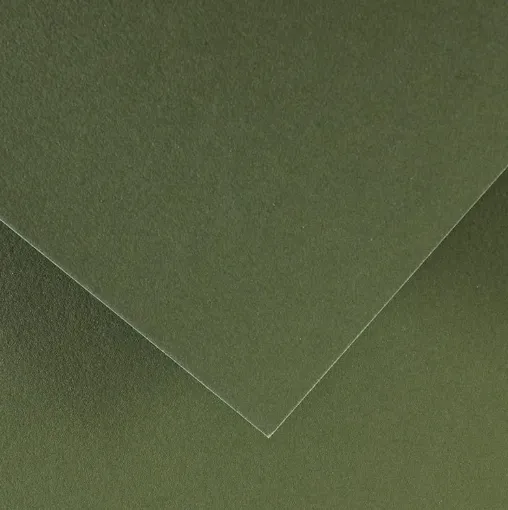 CANSON COLORLINE - Obojstranné farebné papiere 50 x 65 cm, 89 - khaki green, 10 ks